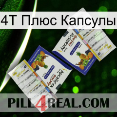 4Т Плюс Капсулы 12